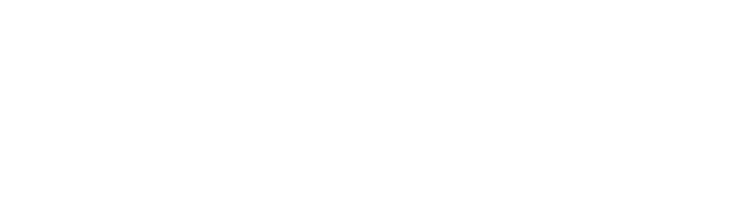 Pyramid Pool Monitoring Service White Logo
